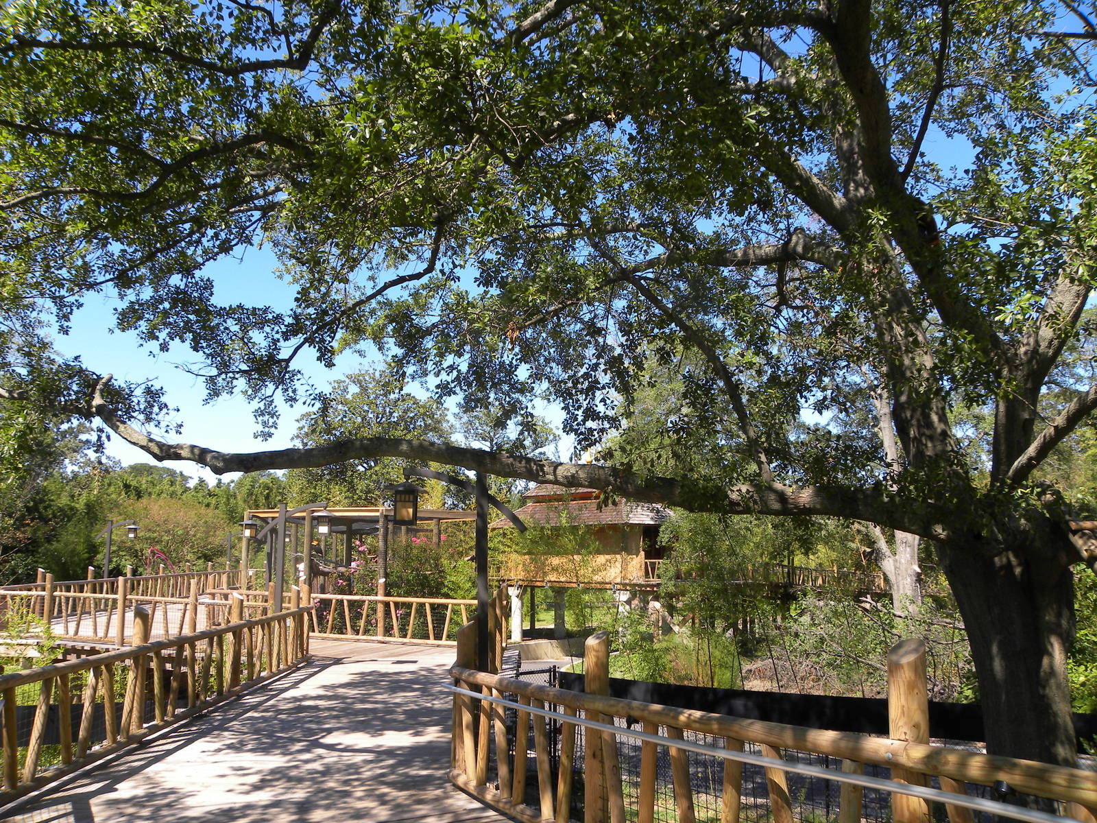 Trail of the Tiger: Red Panda Exhibit