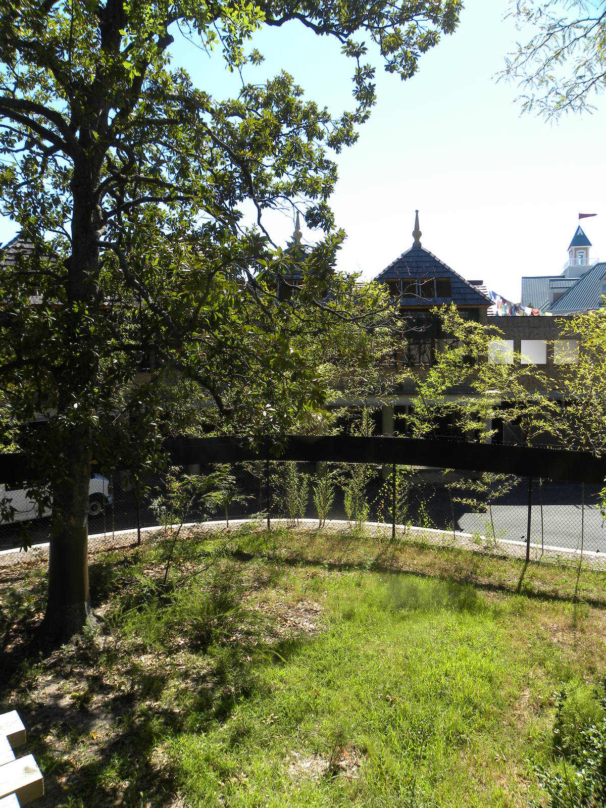 Trail of the Tiger: Red Panda Exhibit