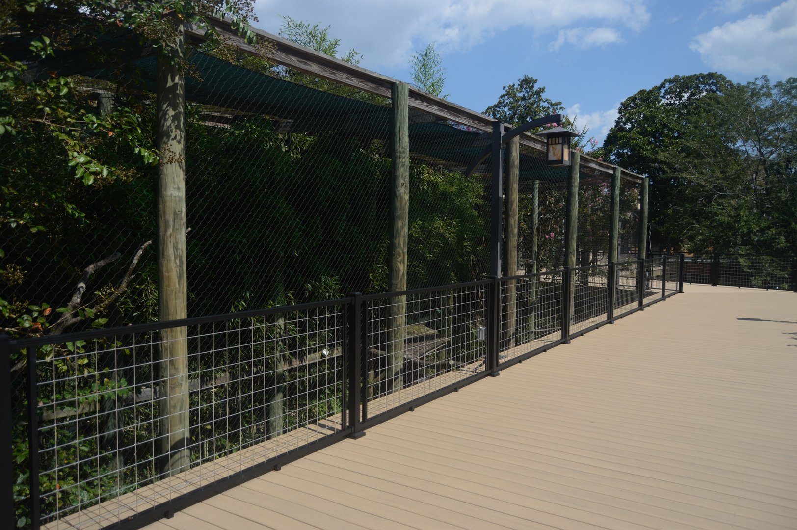 Trail of the Tiger - Rhinoceros Hornbill (Buceros rhinoceros) Exhibit