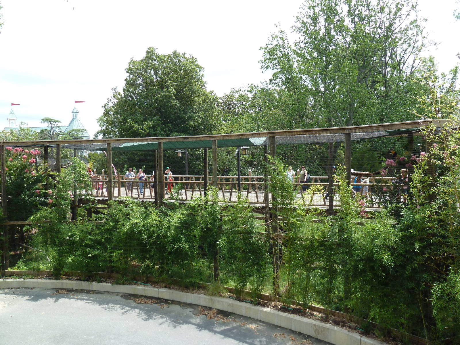 Trail of the Tiger - Rhinoceros Hornbill Exhibit (Back View)