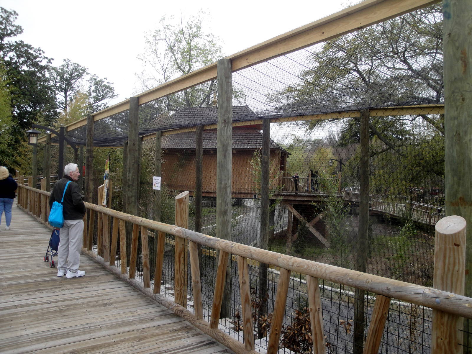 Trail of the Tiger - Rhinoceros Hornbill Exhibit