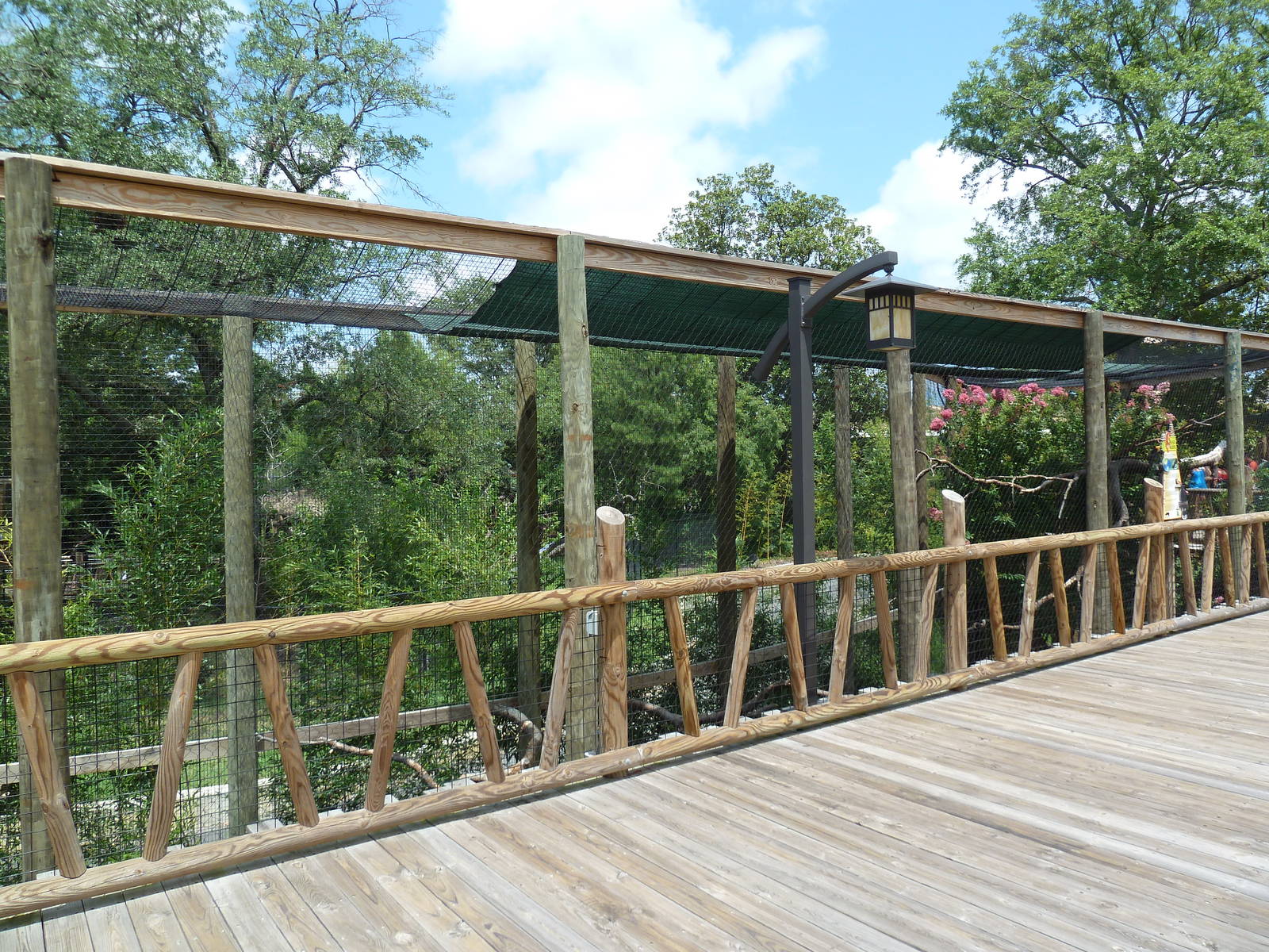Trail of the Tiger - Rhinoceros Hornbill Exhibit