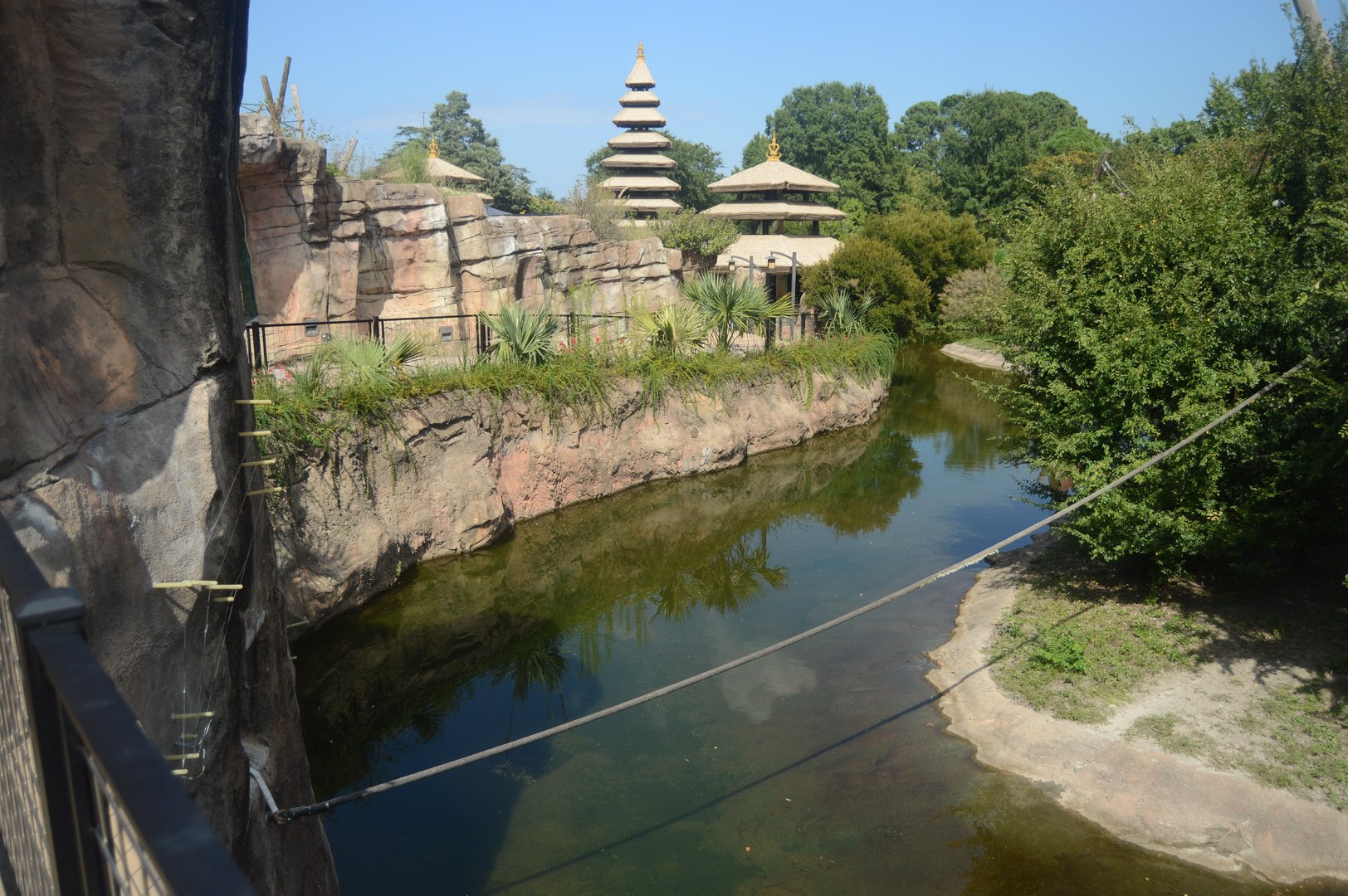 Trail of the Tiger - Siamang Exhibit and Transfer Rope