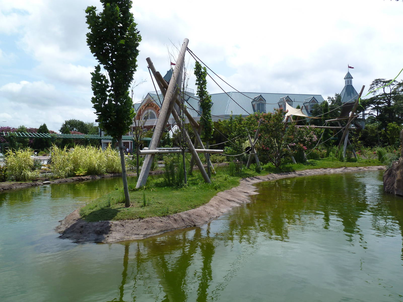 Trail of the Tiger - Siamang Exhibit
