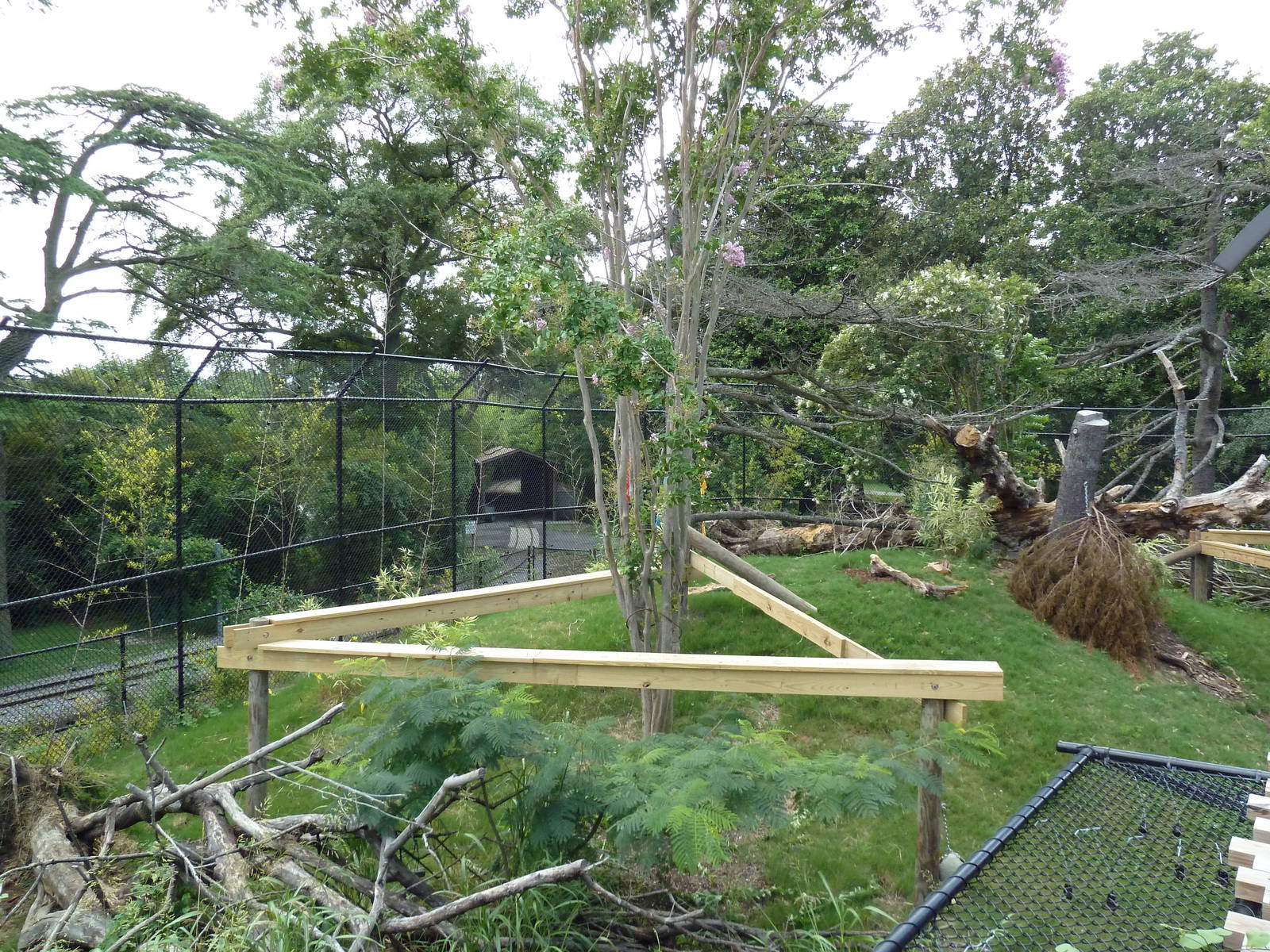 Trail of the Tiger - Sun Bear Exhibit