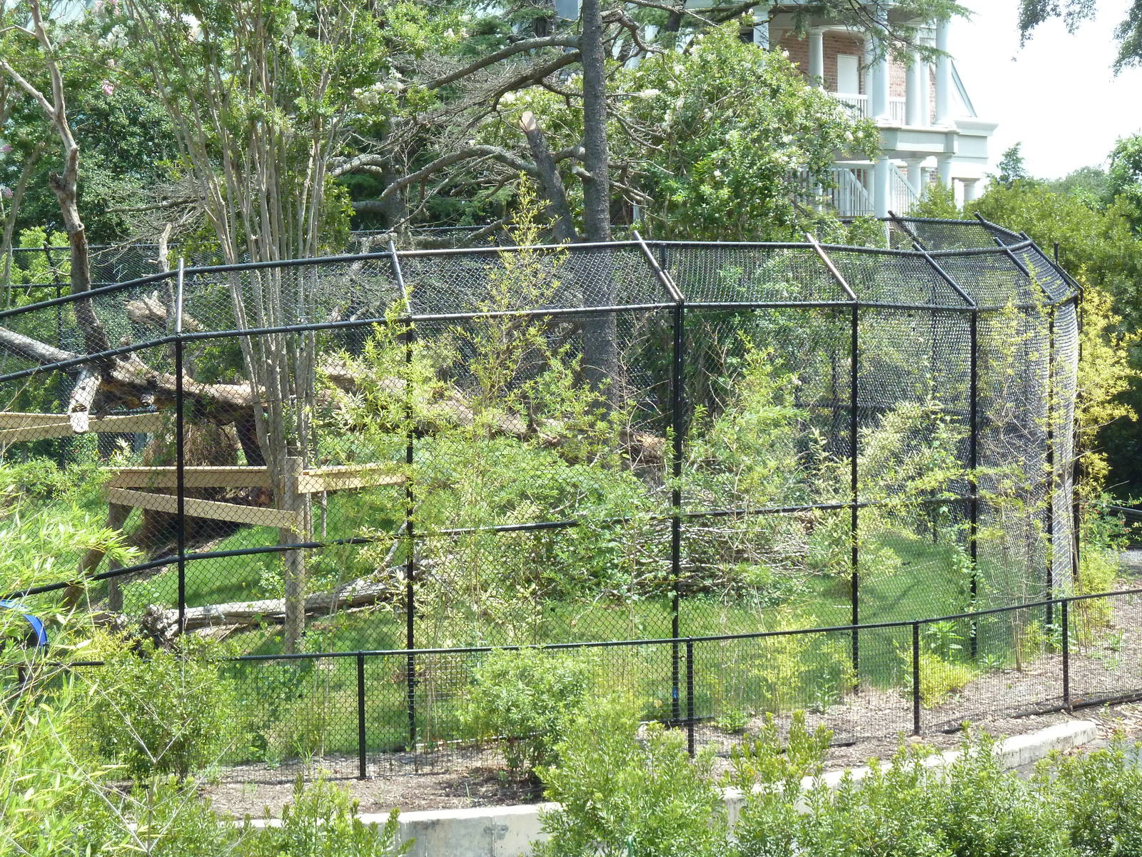 Trail of the Tiger - Sun Bear Exhibit
