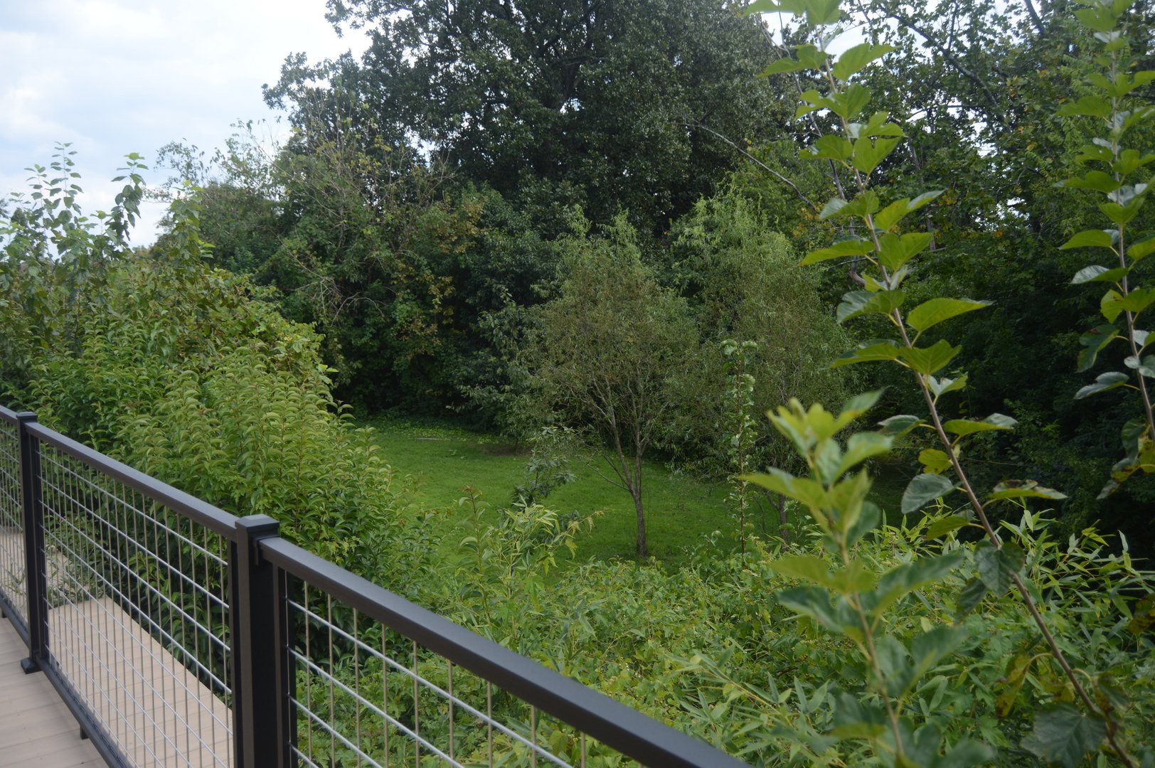 Trail of the Tiger - Undeveloped Area