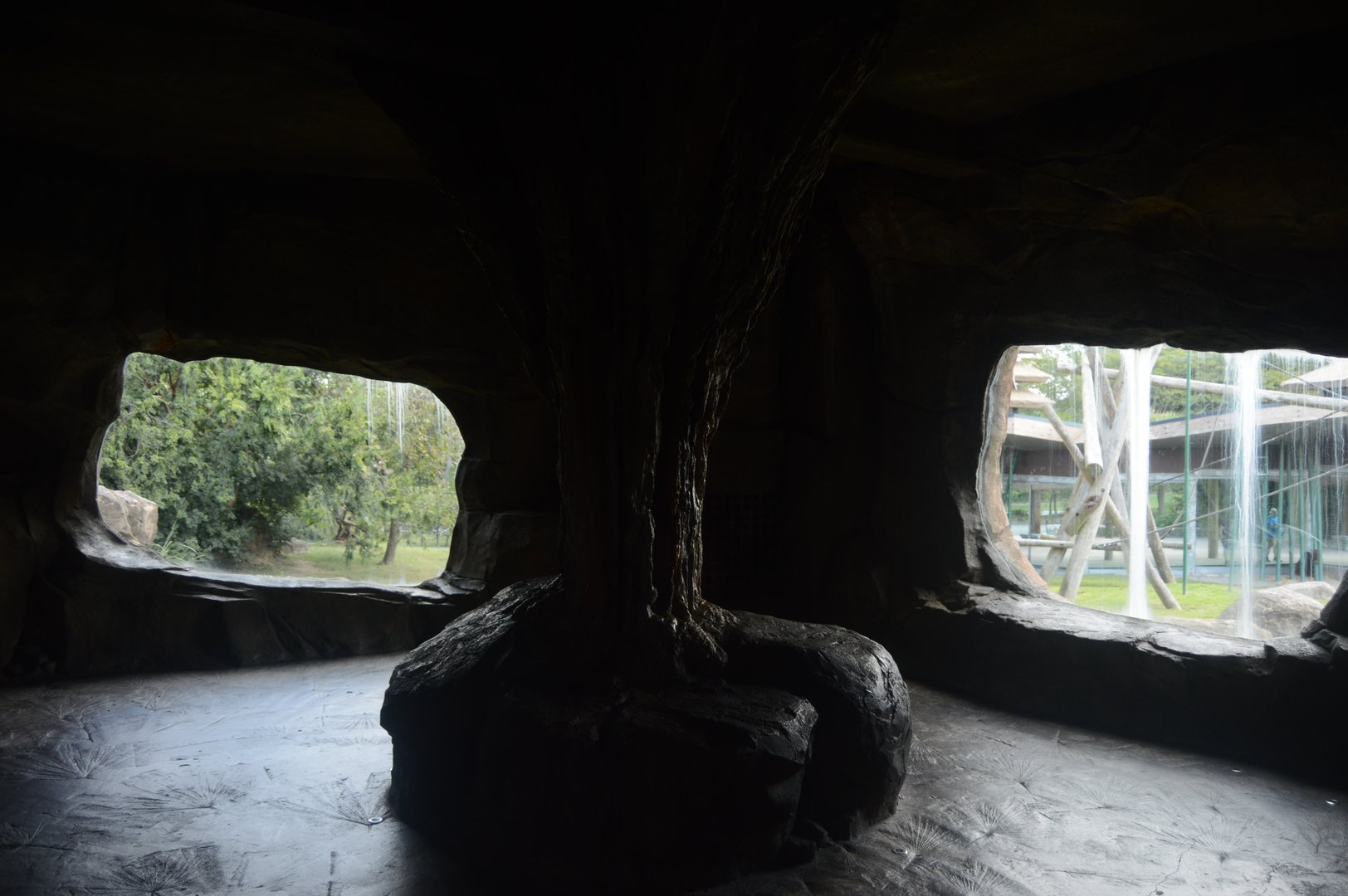 Trail of the Tiger - Viewing Cave