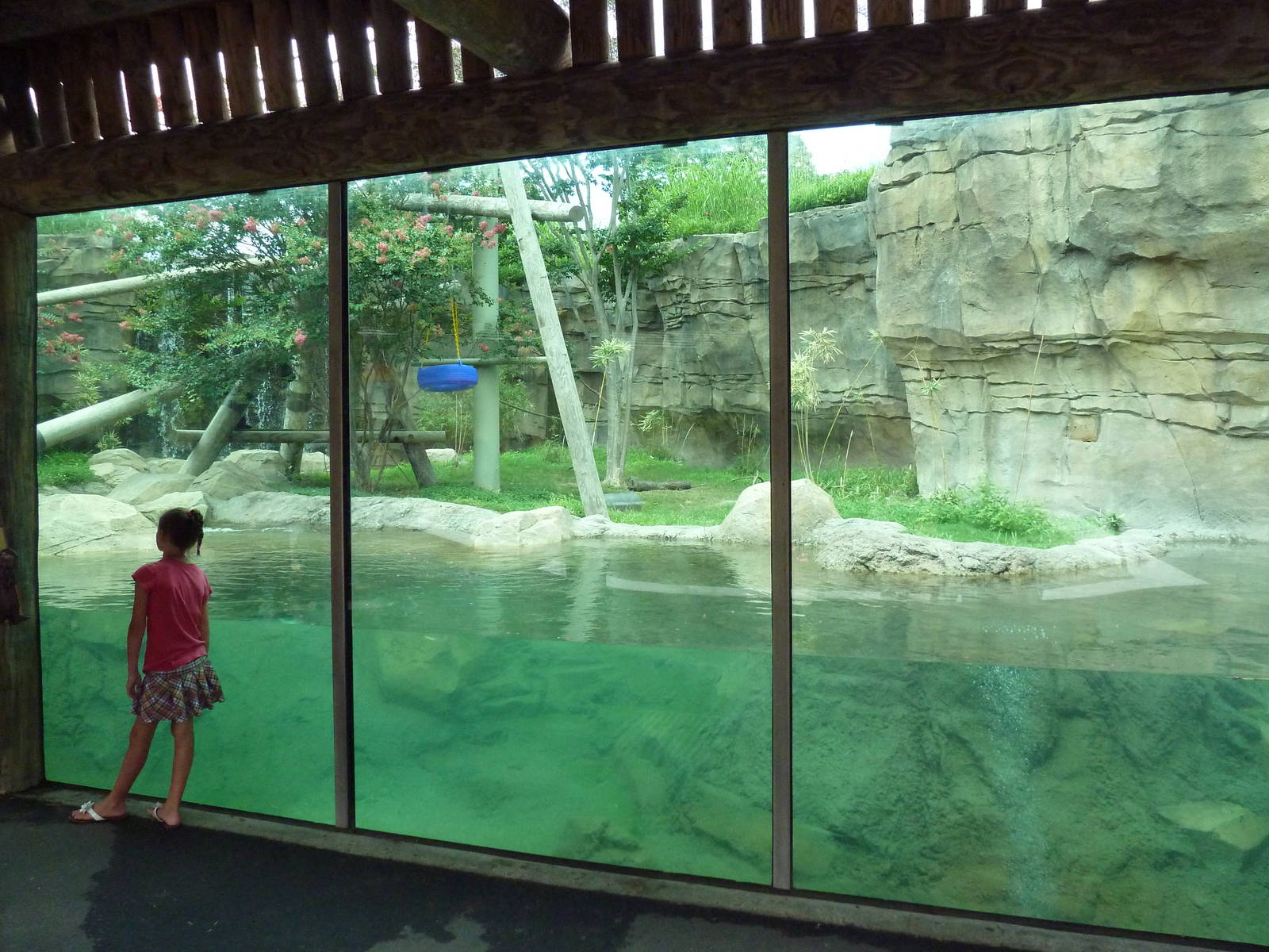 Trail of the Tiger - White-Cheeked Gibbon/Small-Clawed Otter Exhibit