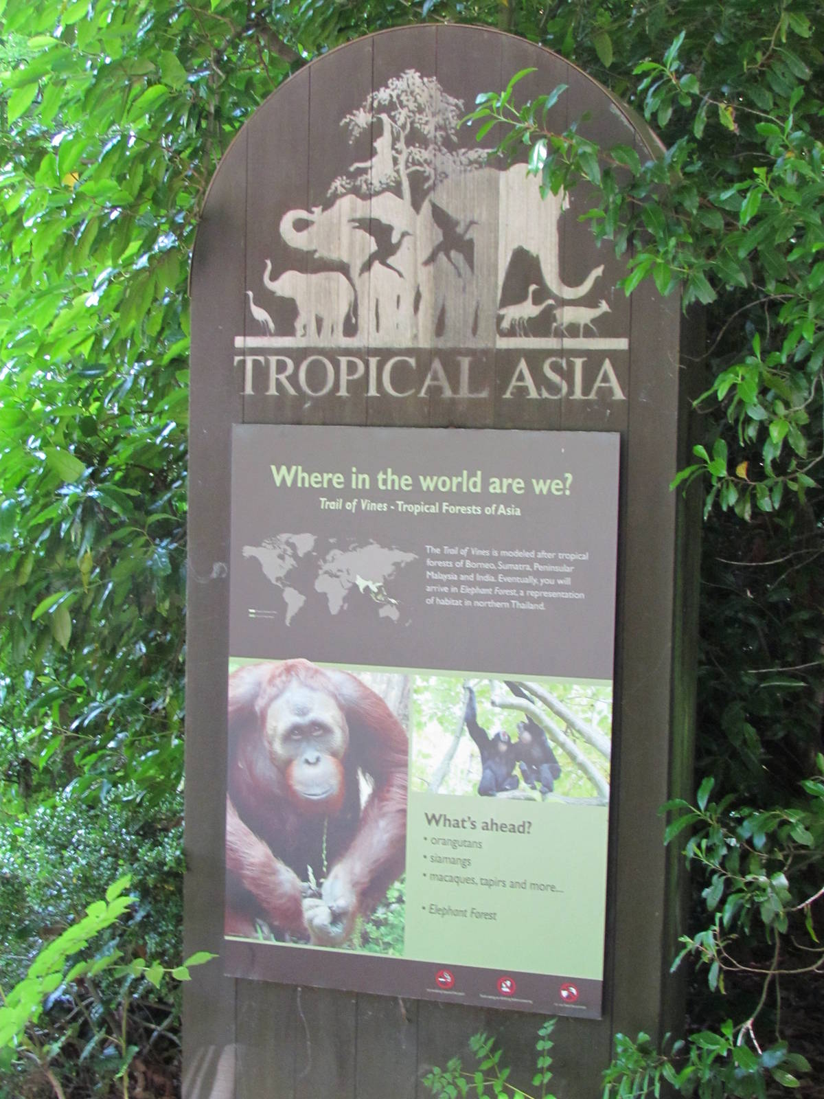 Trail of Vines - Entrance