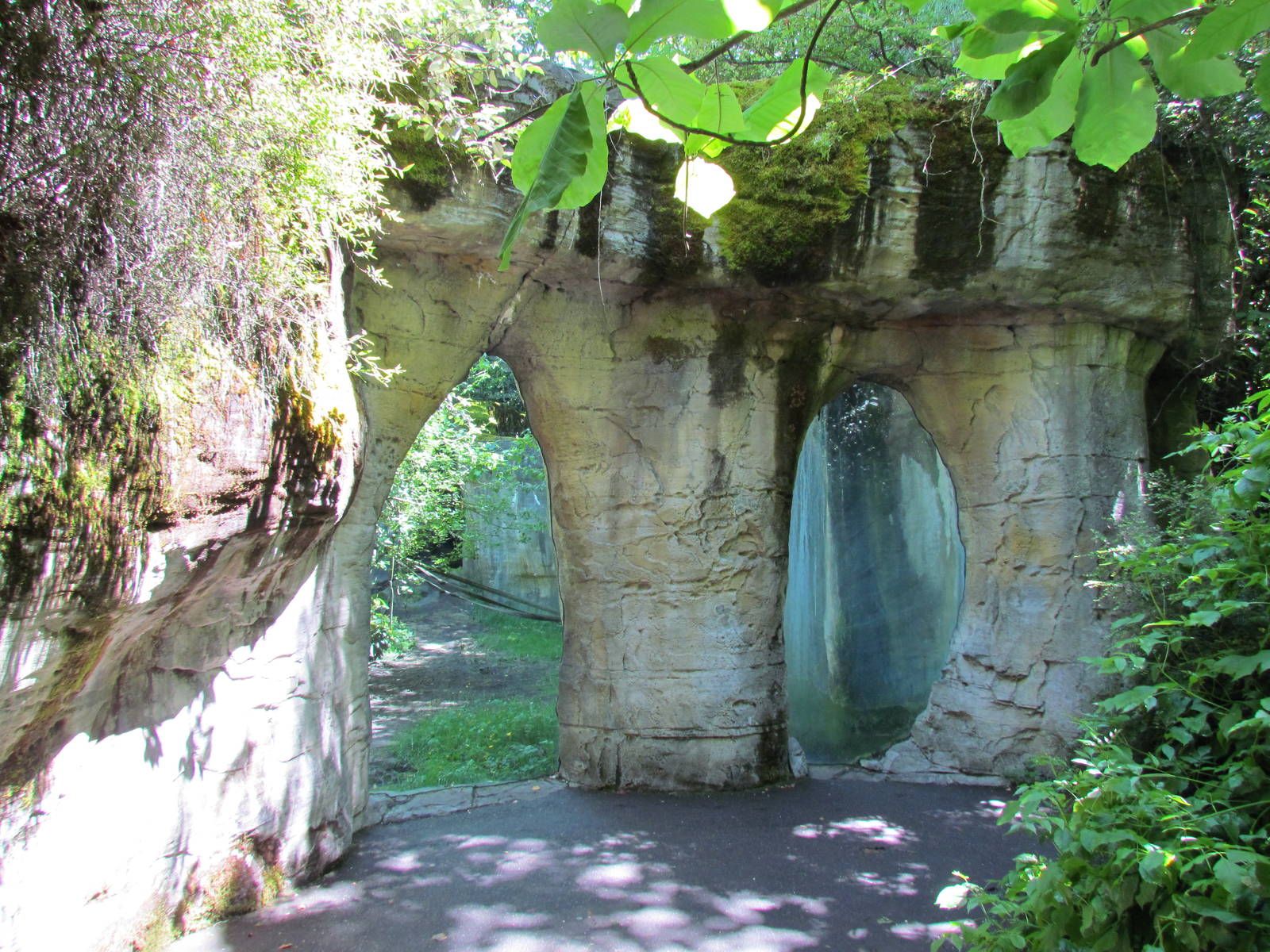 Trail of Vines - Orangutan Exhibit