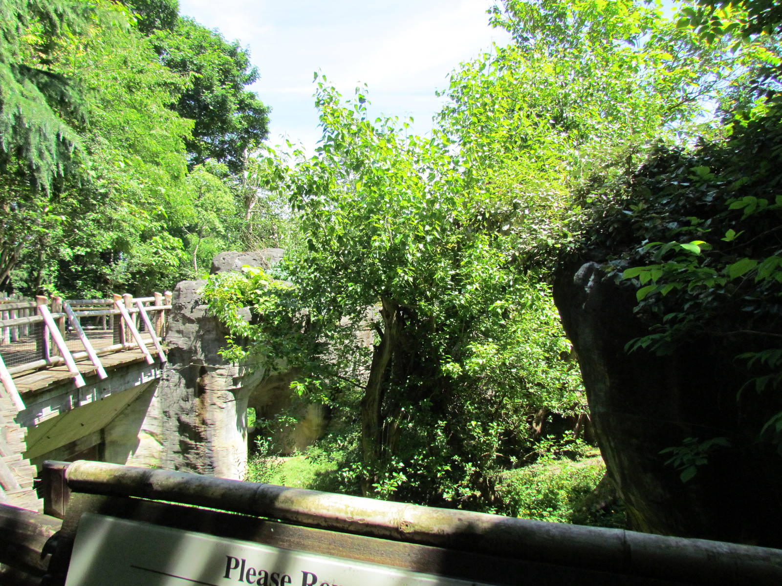 Trail of Vines - Orangutan Exhibit