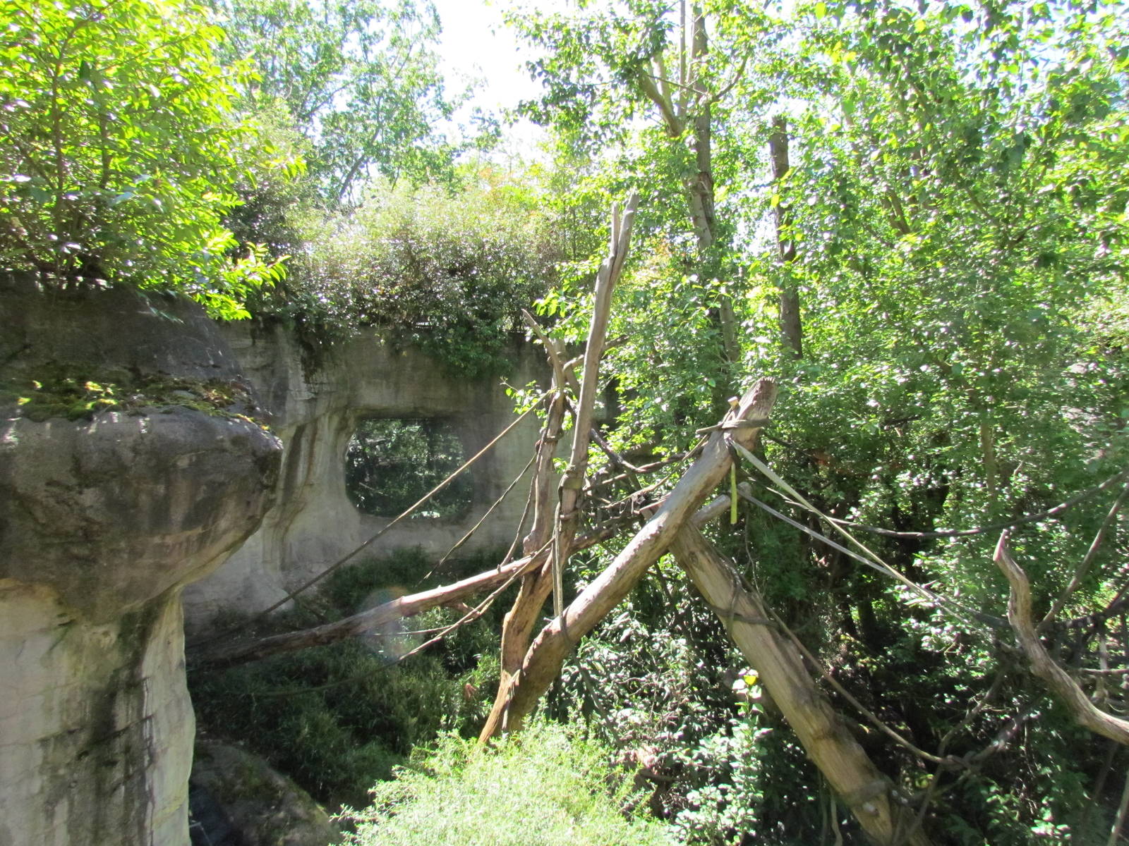 Trail of Vines - Orangutan Exhibit