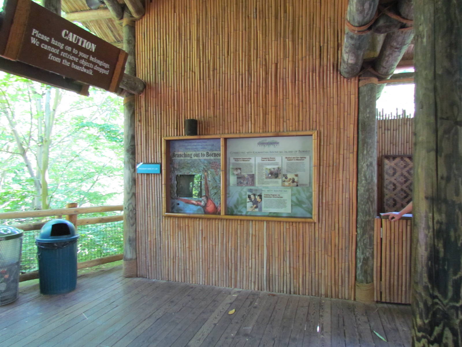 Trail of Vines - Orangutan Exhibit
