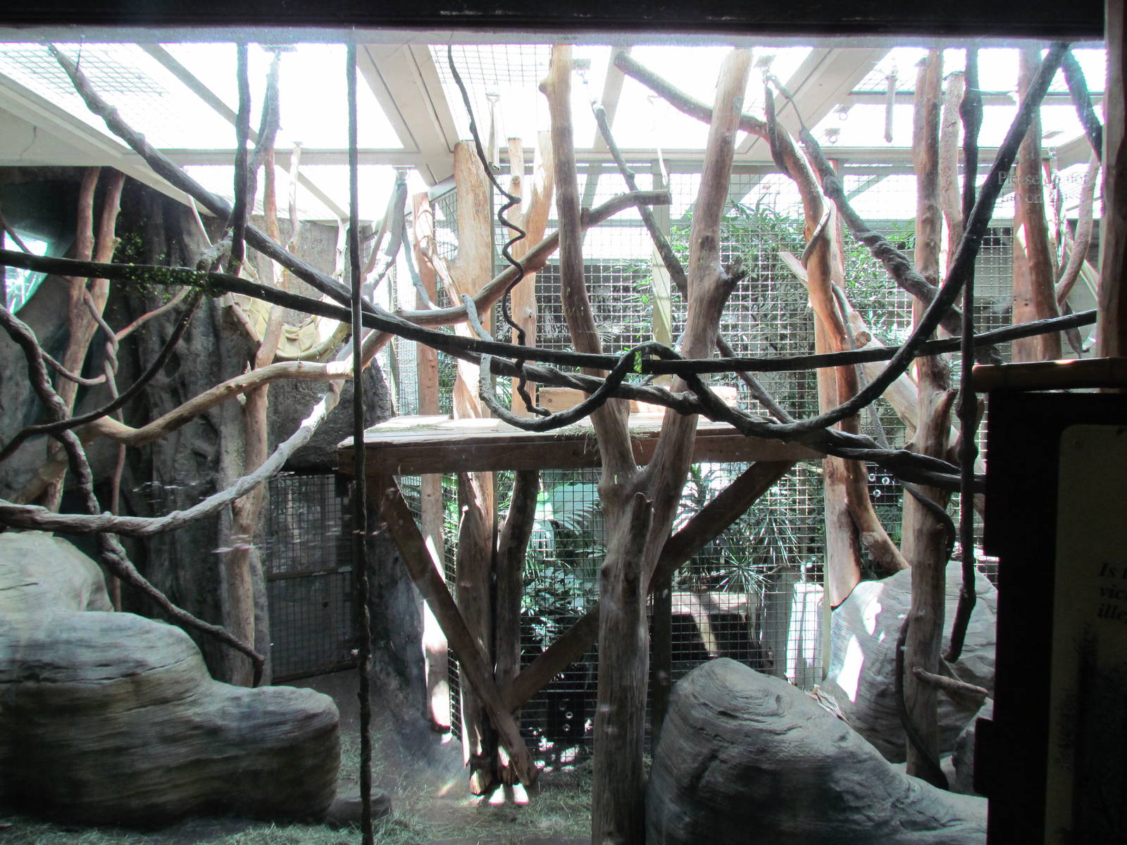 Trail of Vines - Orangutan Exhibit