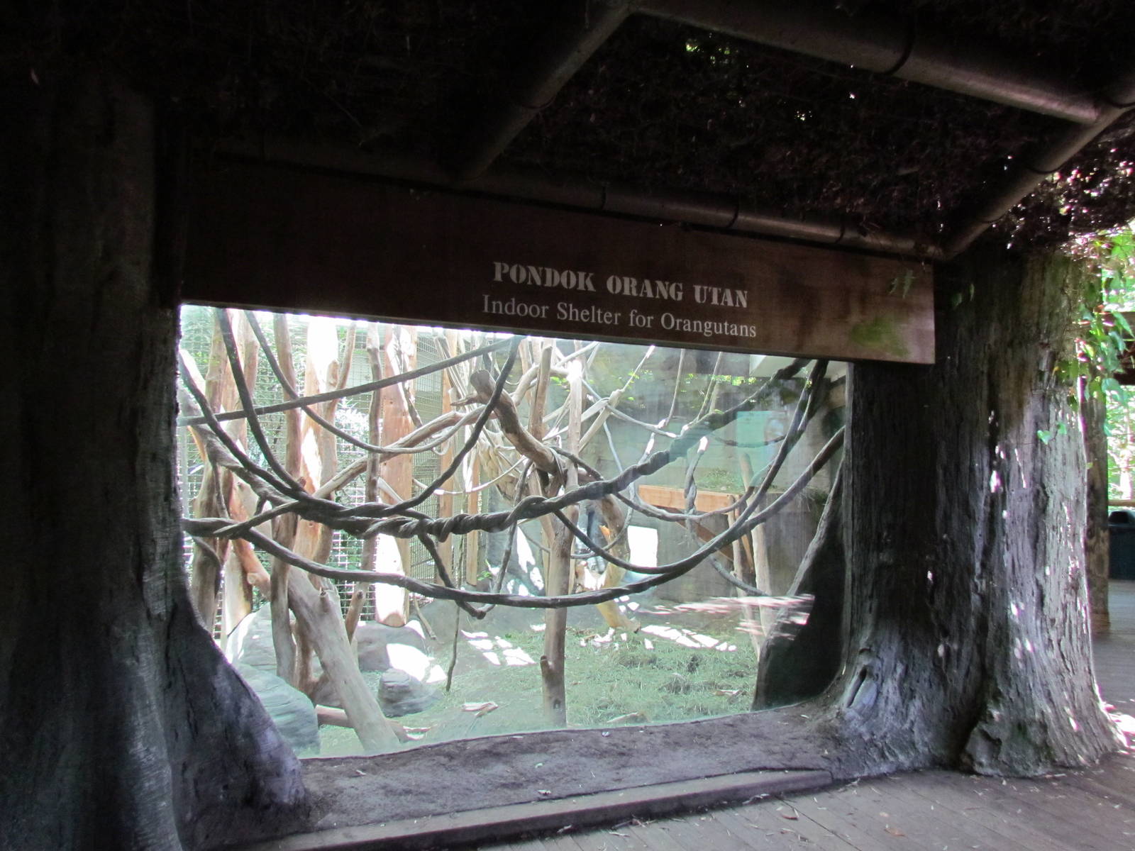 Trail of Vines - Orangutan Exhibit