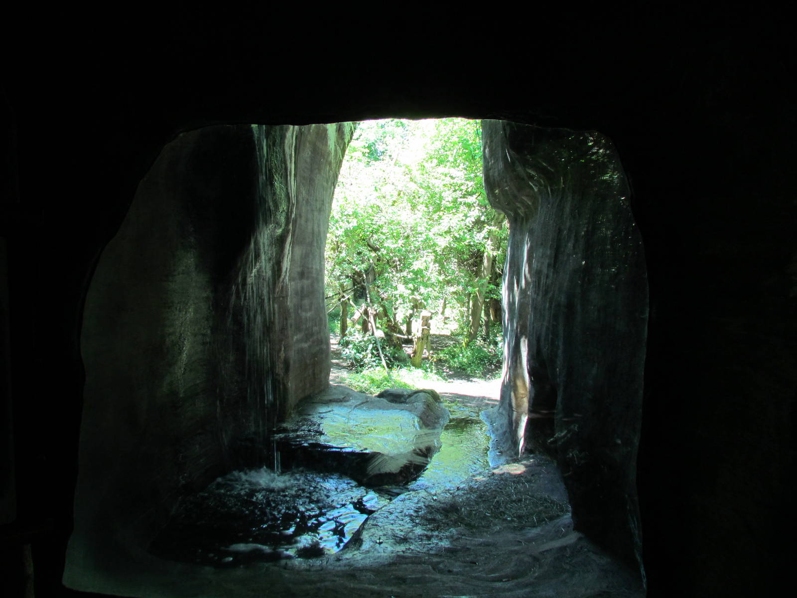 Trail of Vines - Orangutan Exhibit
