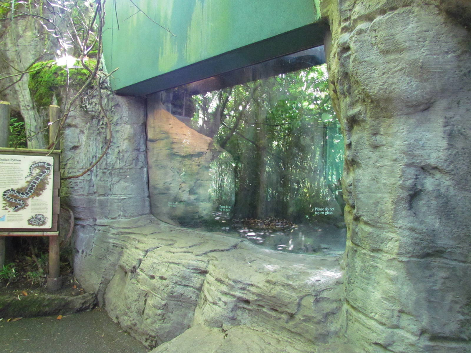 Trail of Vines - Orangutan Exhibit