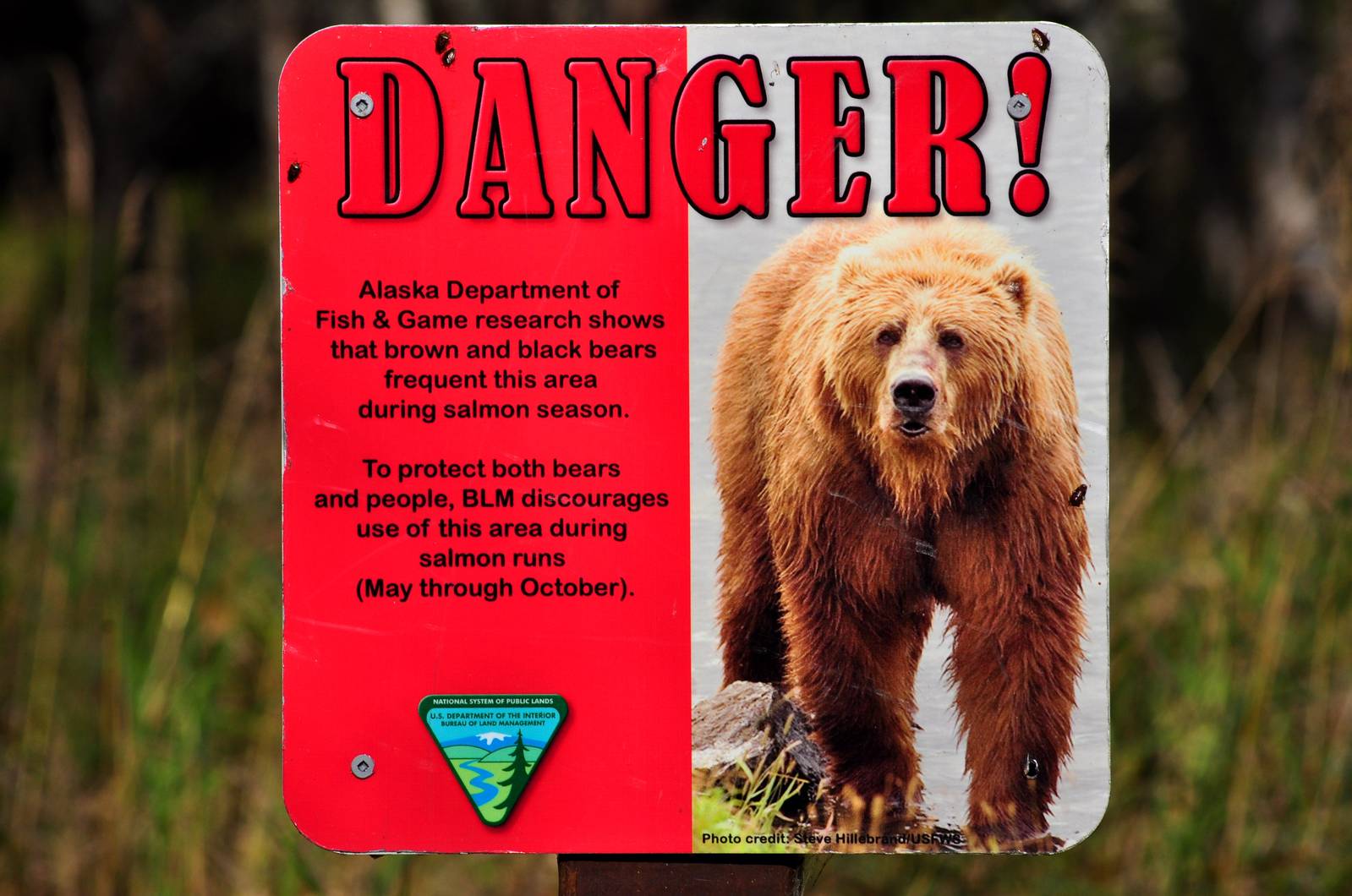 Trail Sign on Campbell Creek - Anchorage