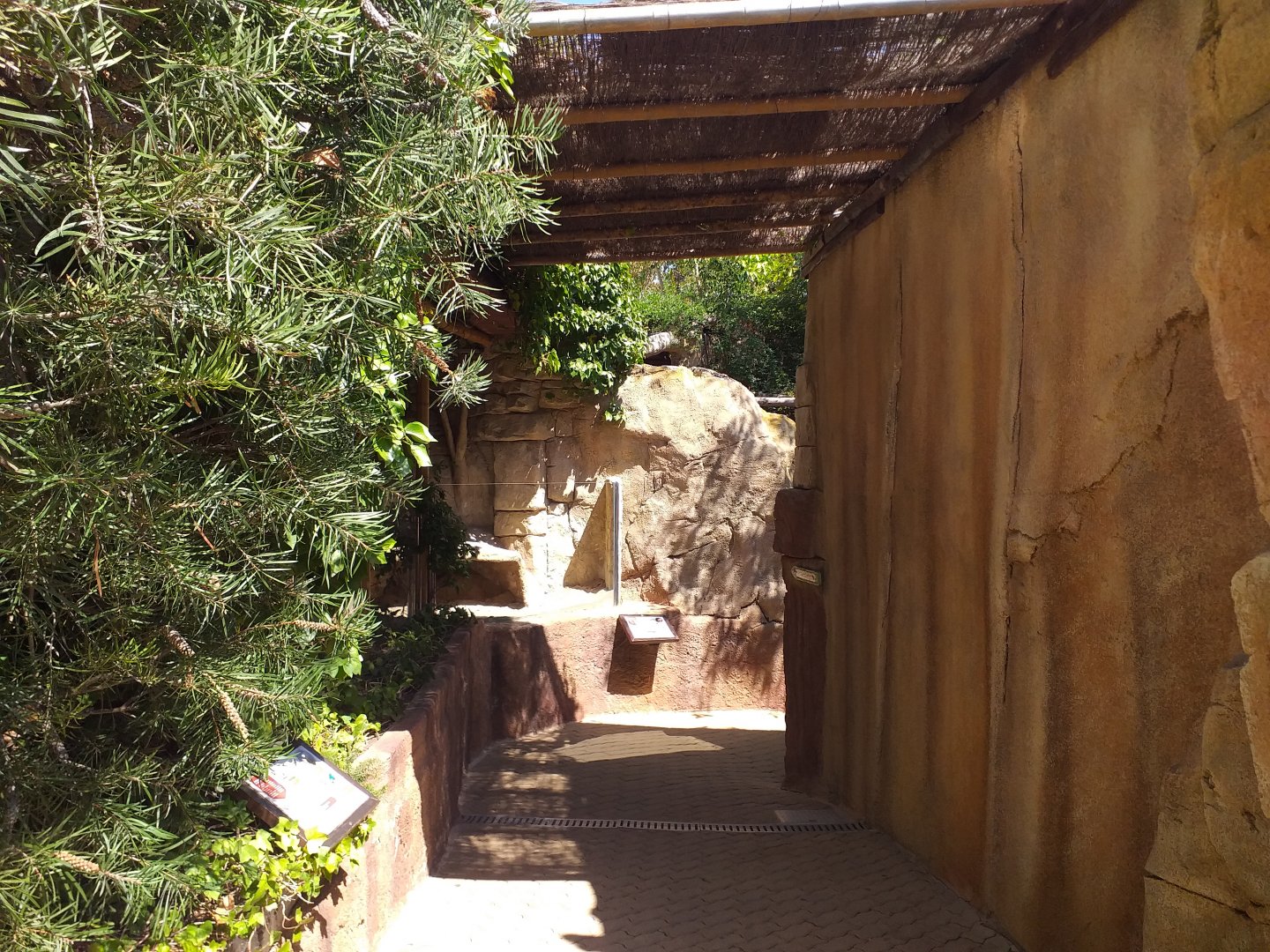 Trail to the armadillo exhibit and underwater viewing areas -MundoMar Benidorm (2021)