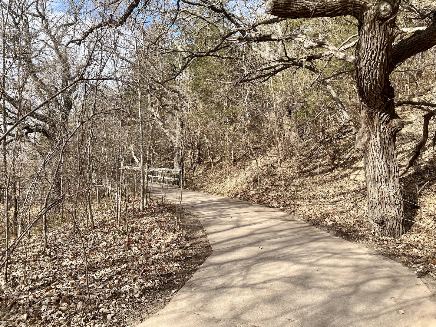 Trail to the bird, Wolves, and Bear Exhibits