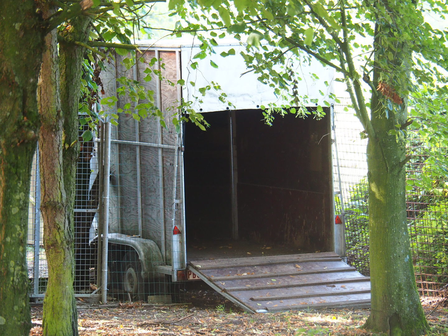 Trailer as shelter for the emus, 2019-08-04