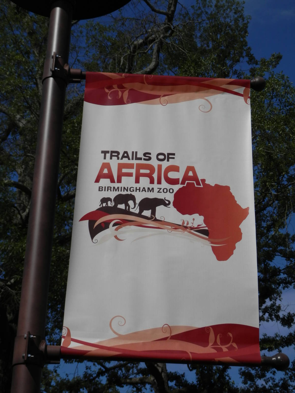 Trails of Africa banner