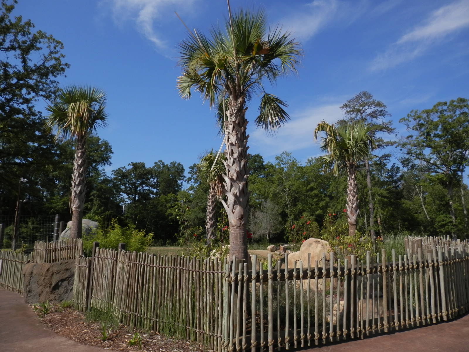 Trails of Africa, corner of elephant yard