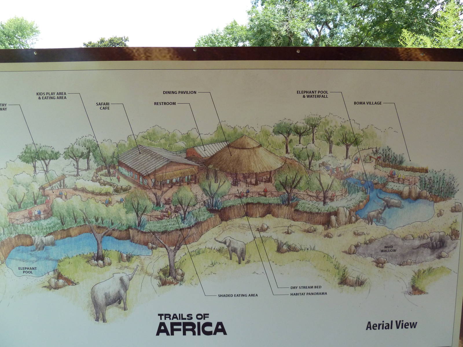 Trails Of Africa - Drawing
