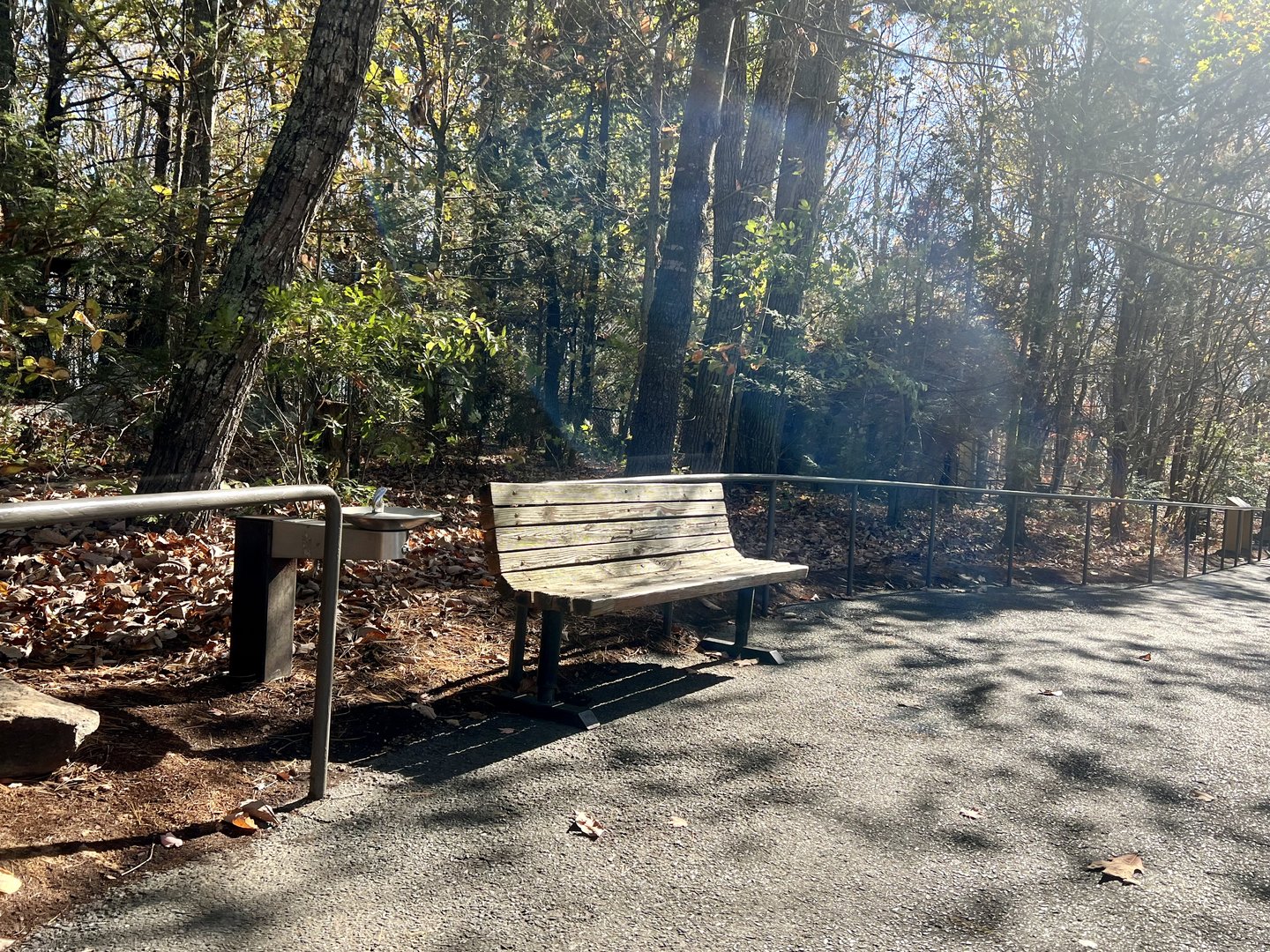 Trailside Bench