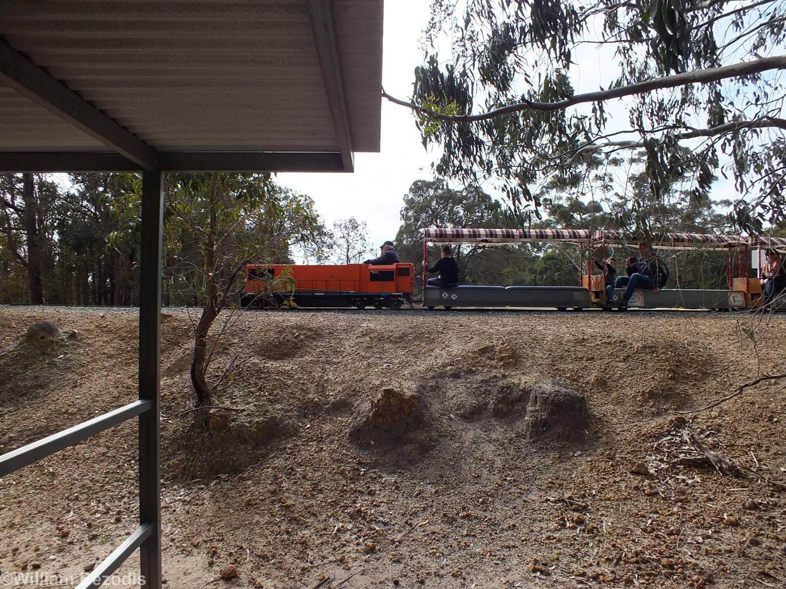 Train - Cohunu Koala Park
