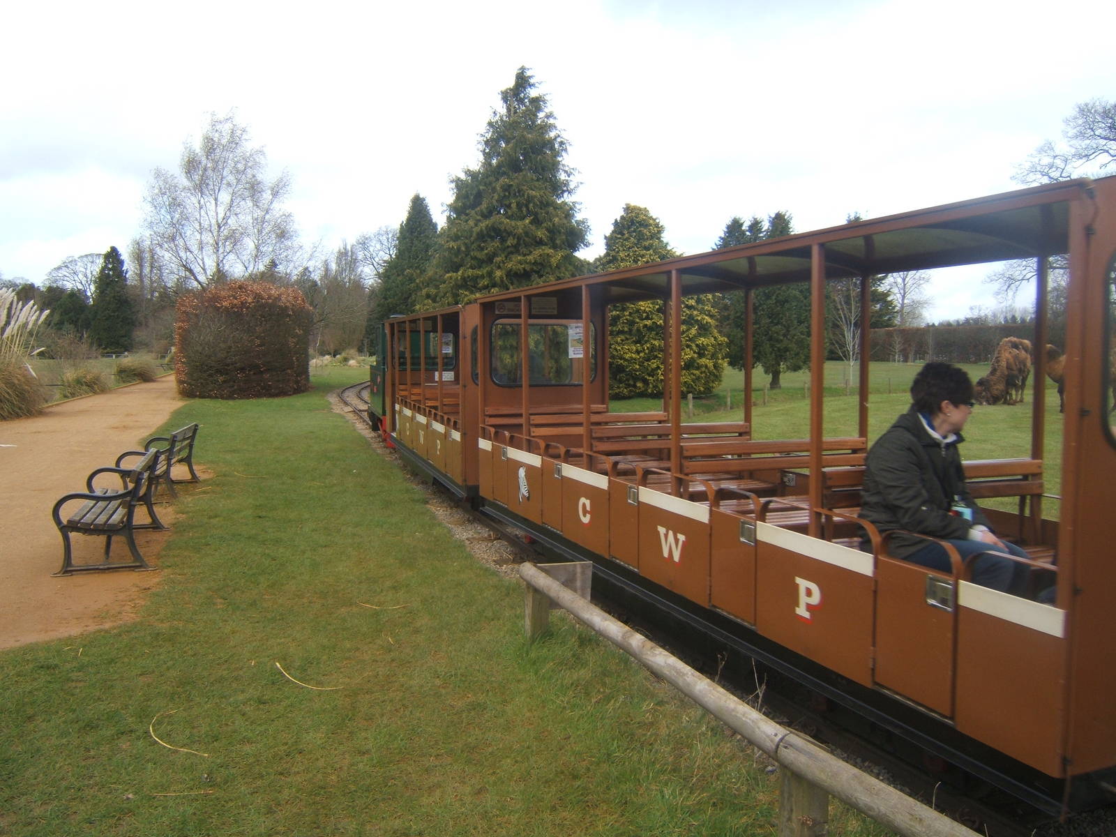 Train passing Camel paddock