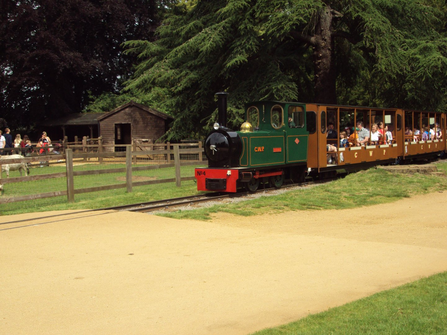 Train passing the Children's Farm 23/06/2019
