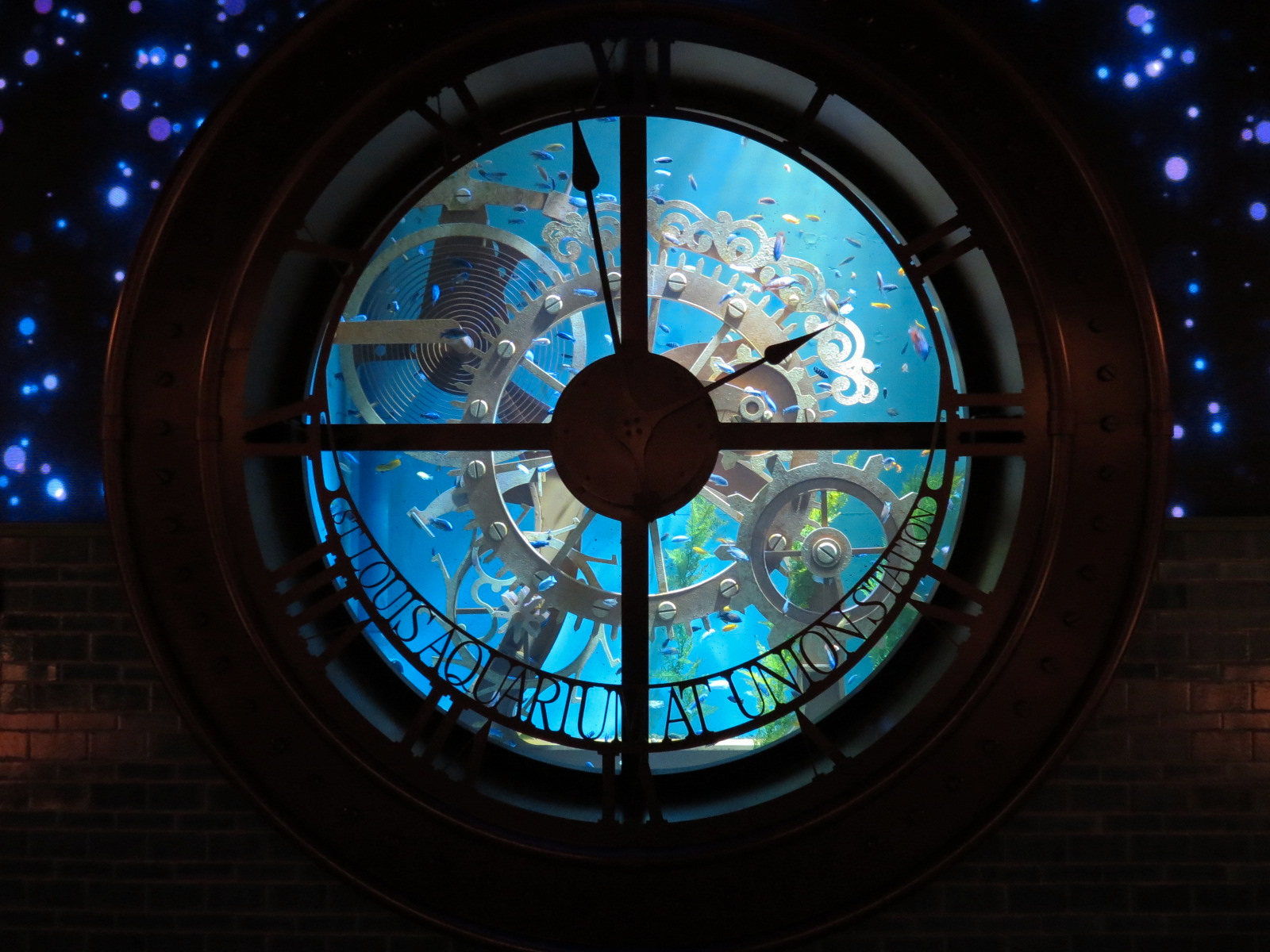 Train-themed Entrance Hall - Cichlid Exhibit