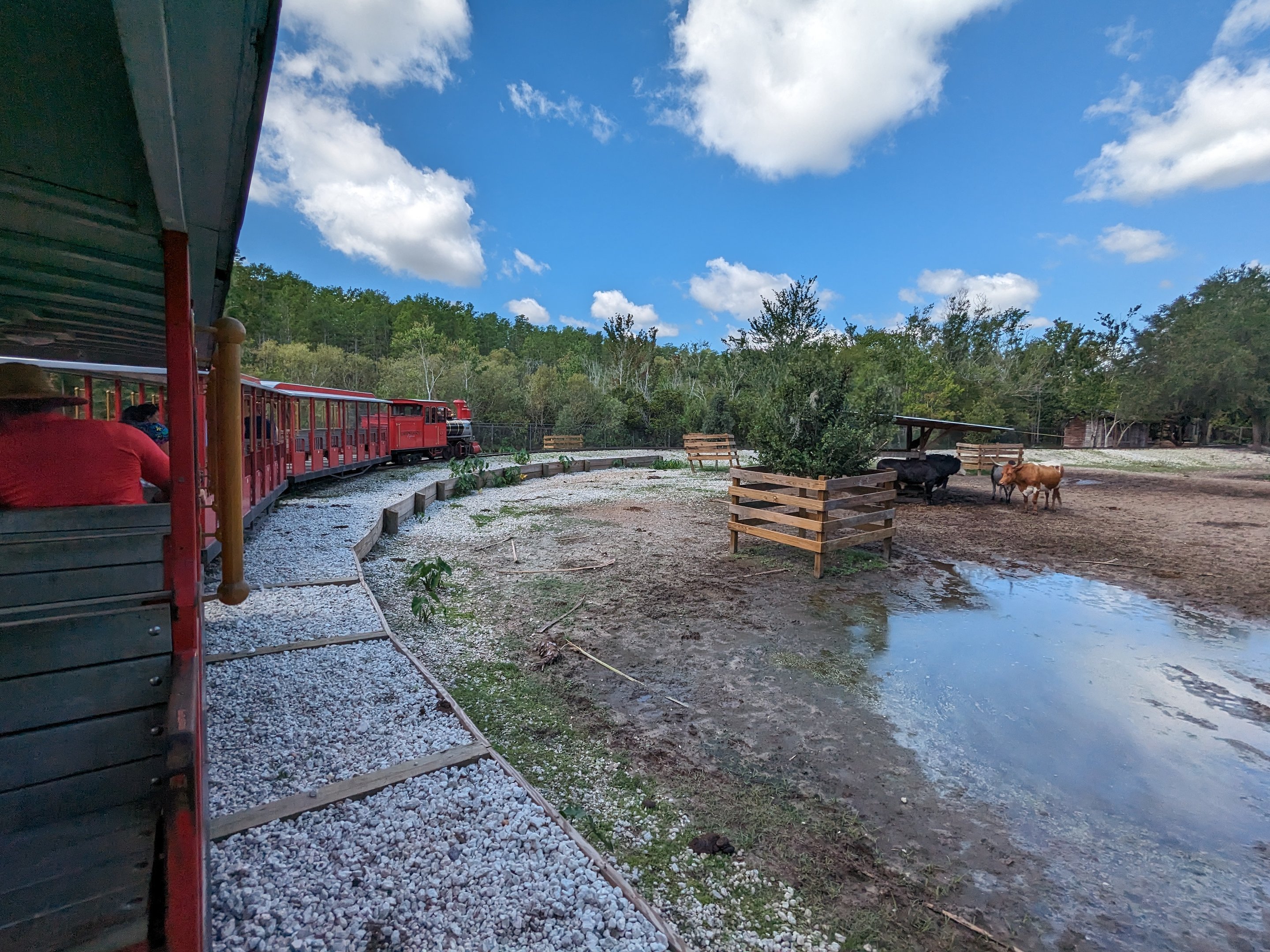 Train through "large mammal paddock"