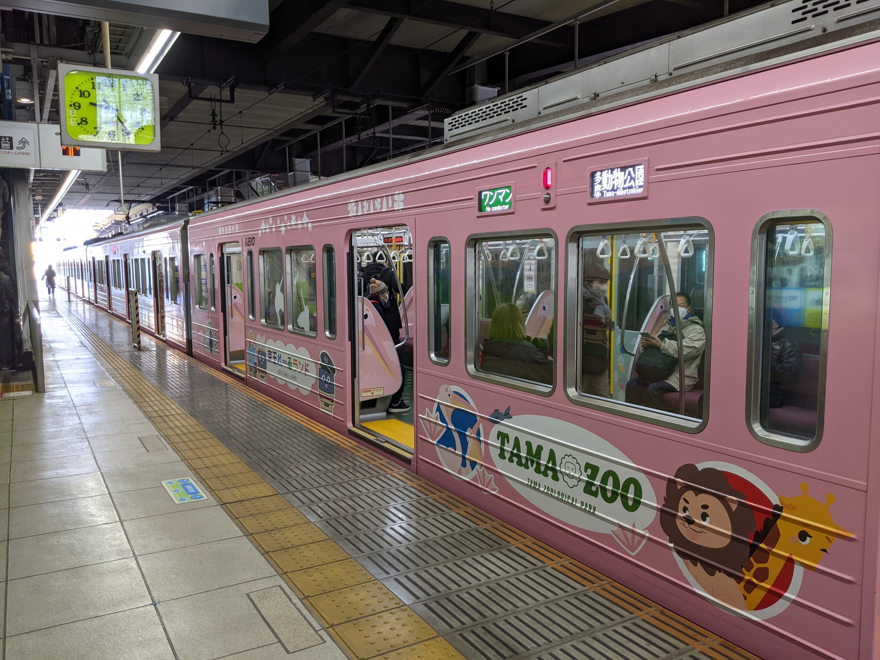 Train to Tama Zoo