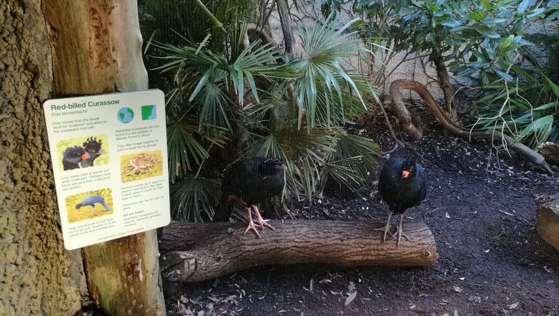Trained well, to stand next to the sign