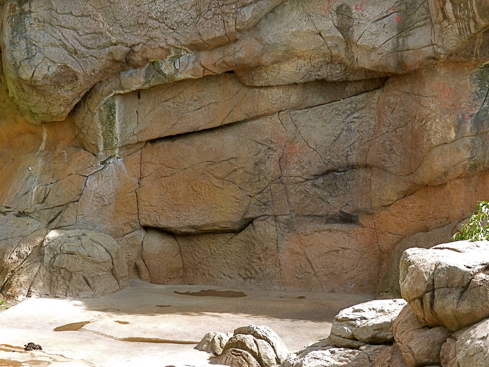 Training Door Closed - Polar Bear Exhibit