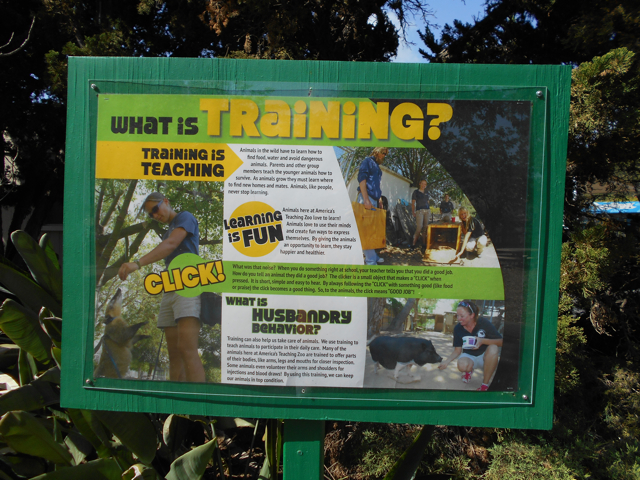 Training interpretive sign