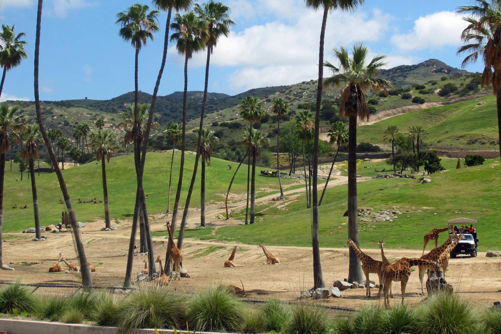 Tram ride views April 27, 2012