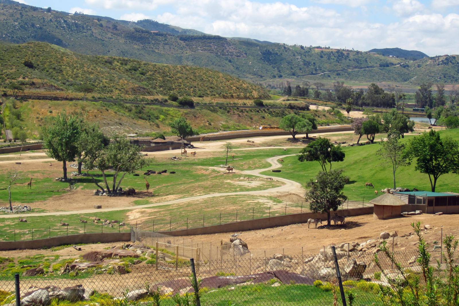 Tram ride views April 27, 2012