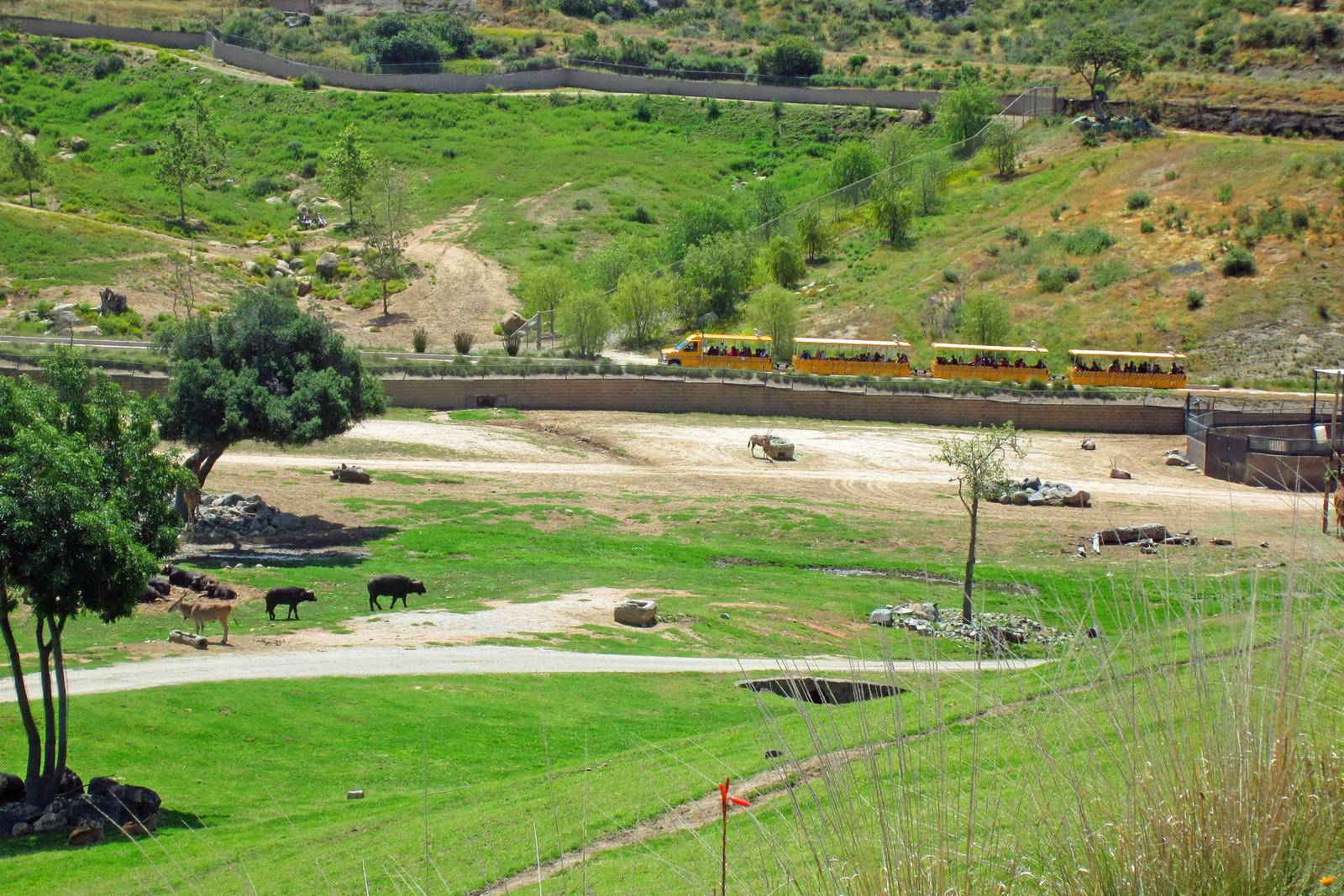 Tram ride views April 27, 2012