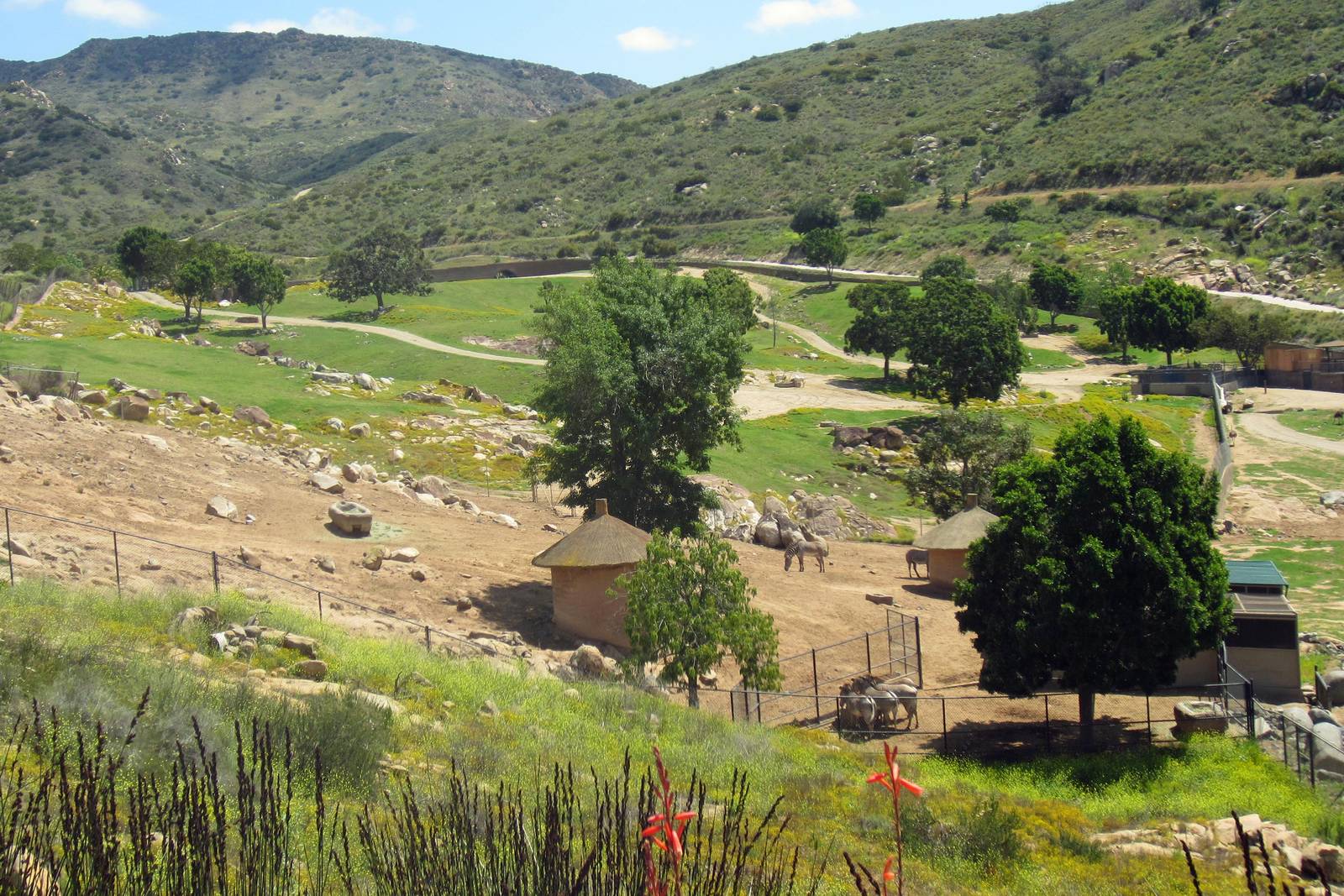 Tram ride views April 27, 2012