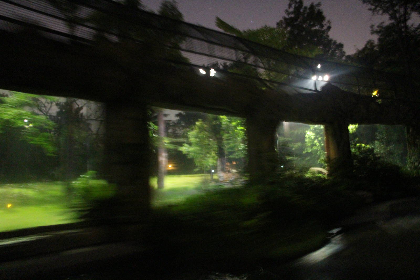 Tram Safari - Malayan Tiger exhibit