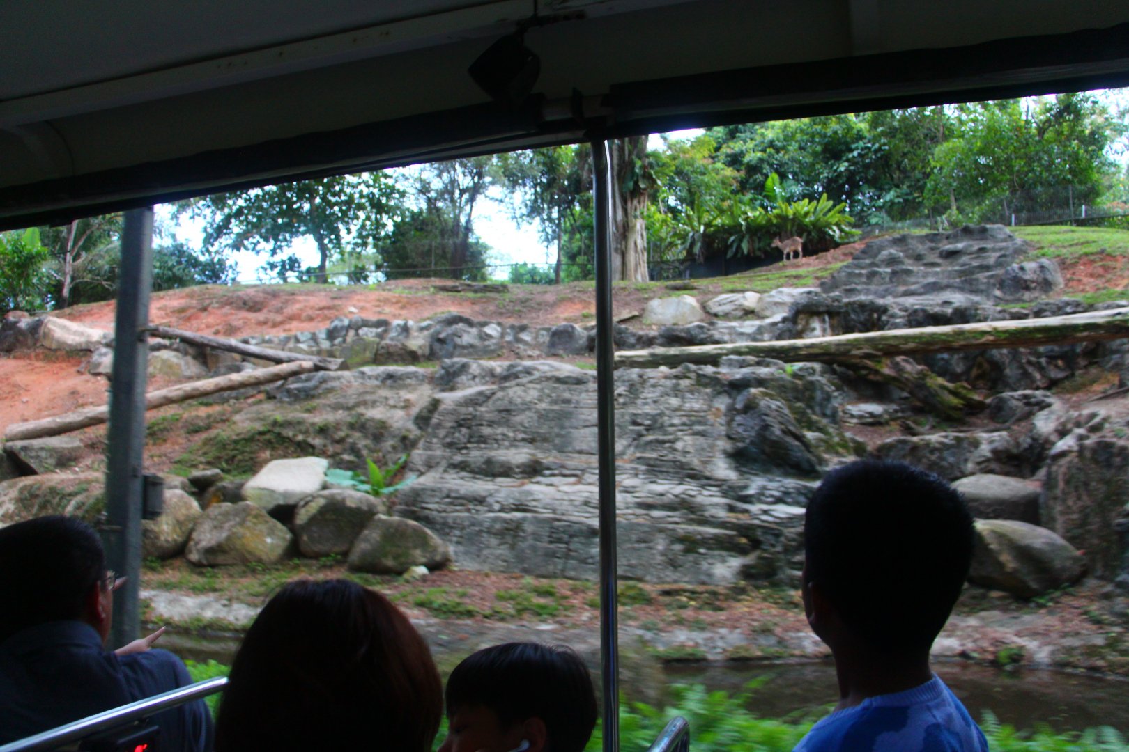 Tram Safari - Markhor