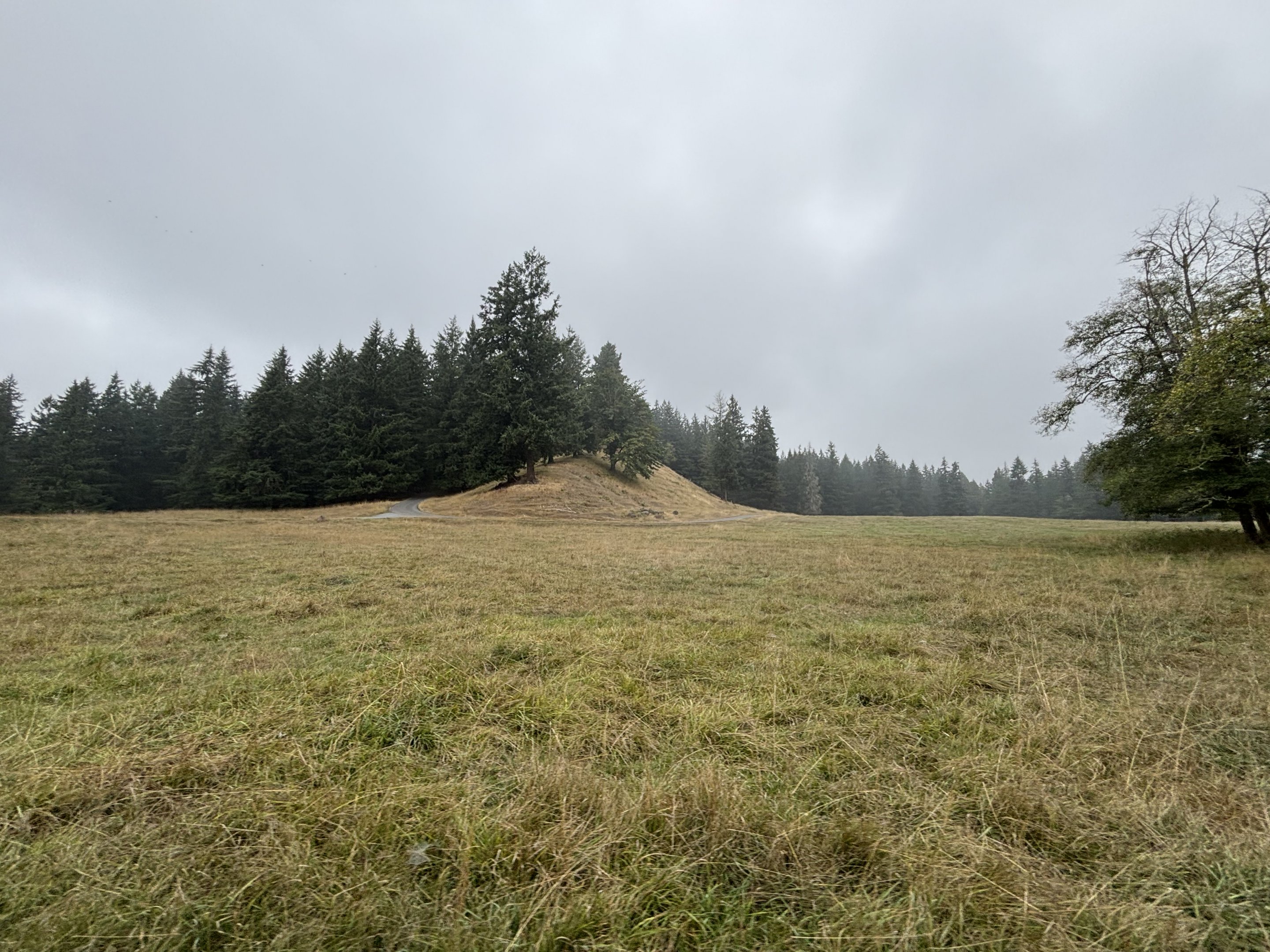 Tram Tour - 40 minutes and 435 acres