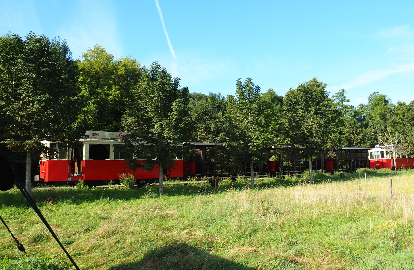 Tram traveling between entrance area and entrance and exits of wildlife park, 2021-08-15