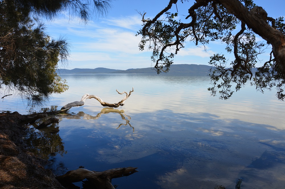 Tranquil lake - NSW