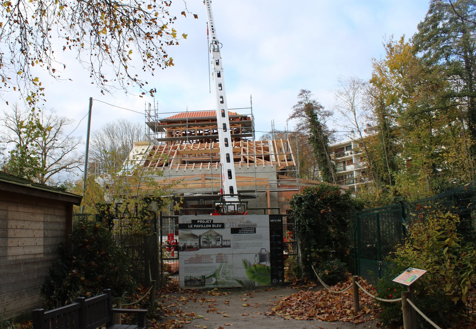 Transforming a night-club into a zoo-restaurant