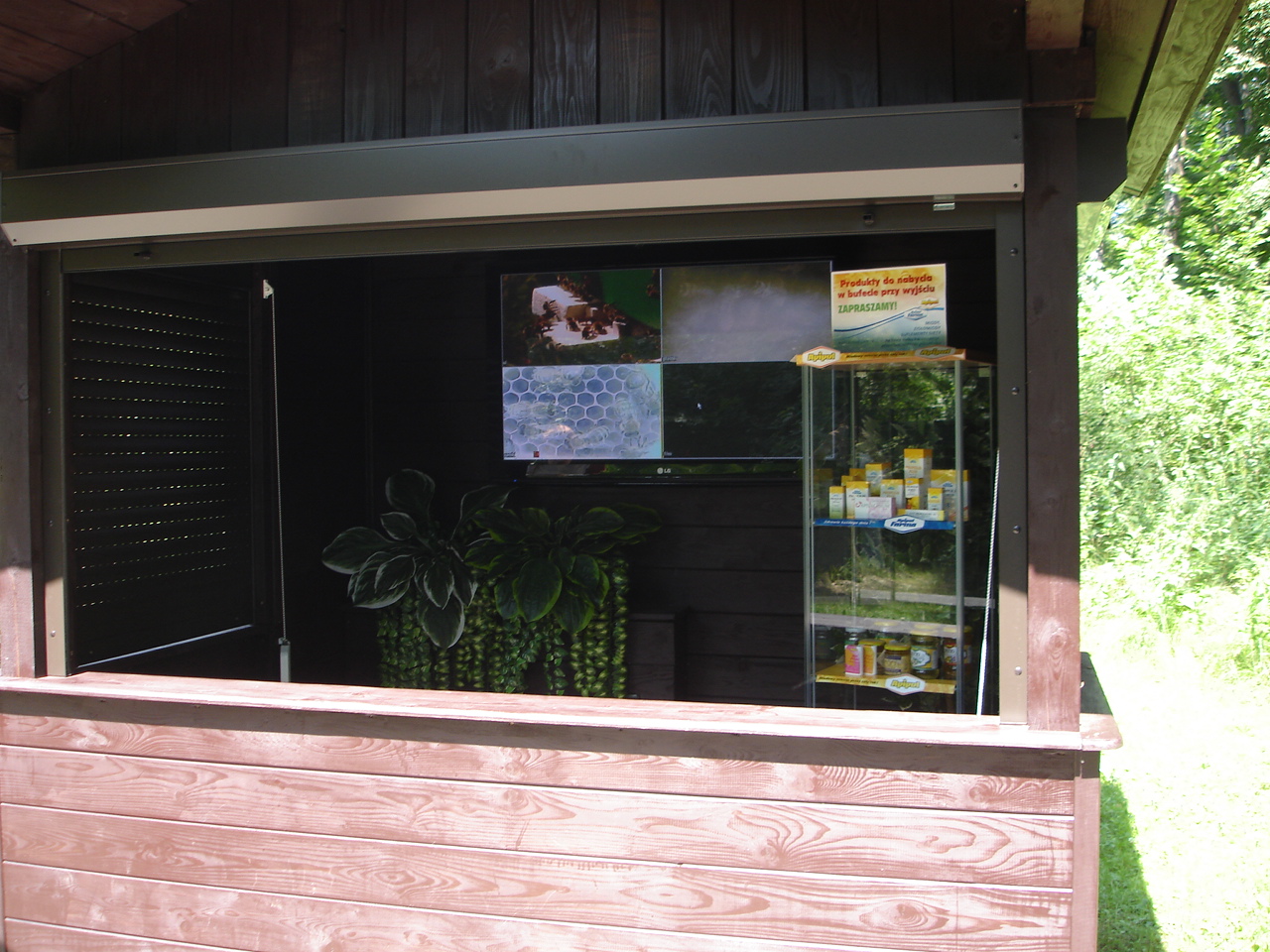 Transmission from Beehive